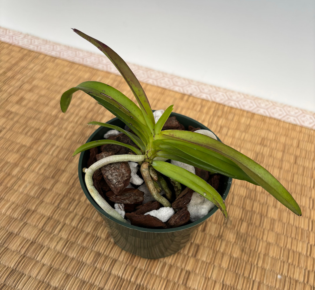 f93f49c2-c42a-4be3-8d66-a0e3f041aab2