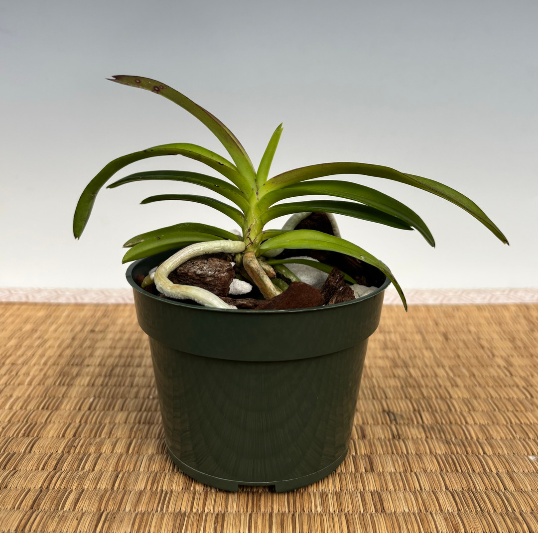 d771fc6d-9953-406c-8de4-c9e42fac48b3