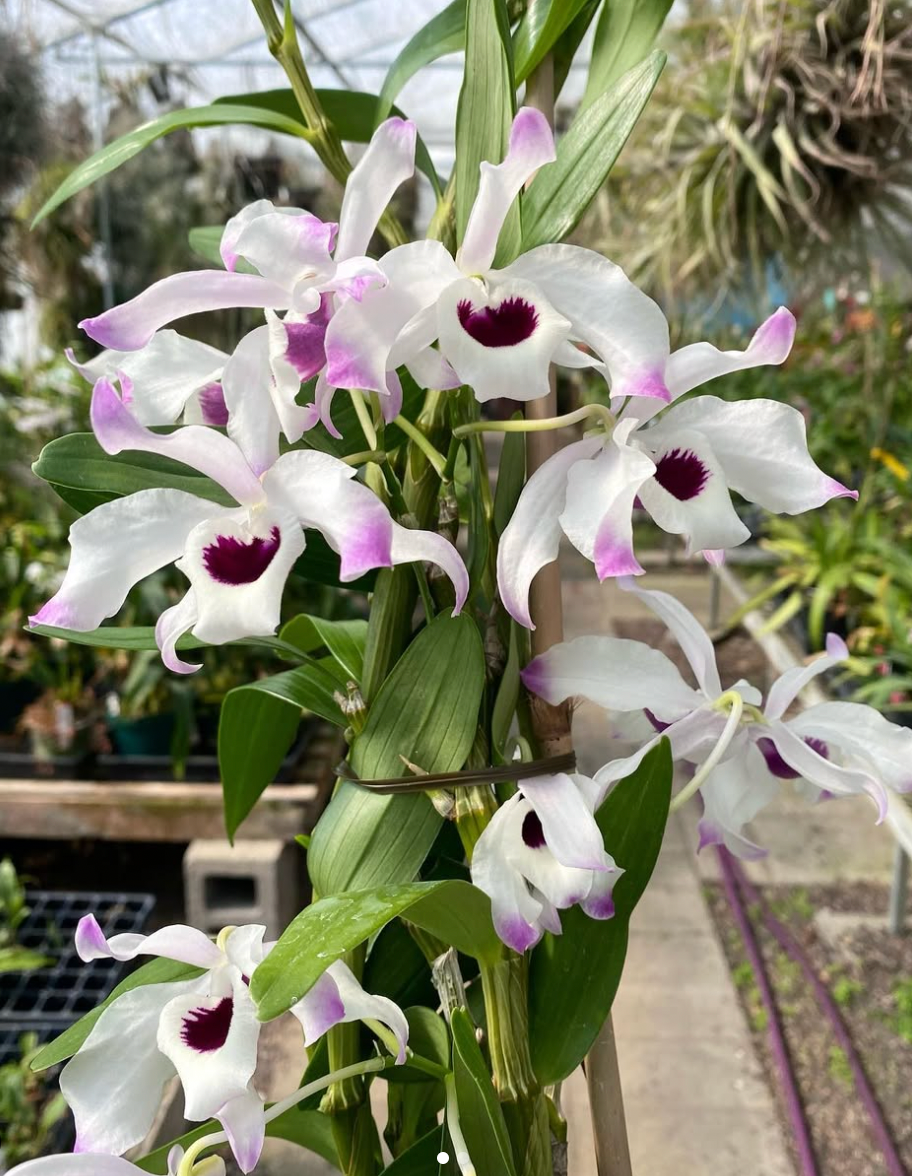 4e5034ab-8608-4557-b534-