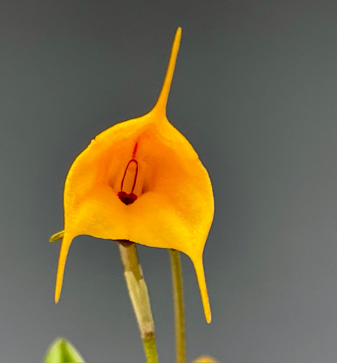 1634636e-315f-4b94-9583-4b2536aa0993