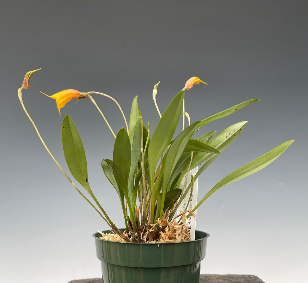 f4c47d5c-66a8-4f48-bebe-3ac45c258fb3