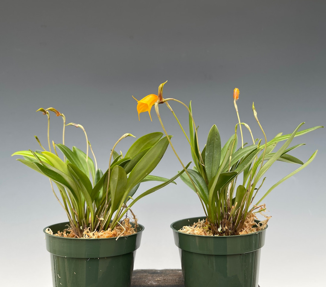 aeed89f2-36b6-4a96-9477-22ee86989241