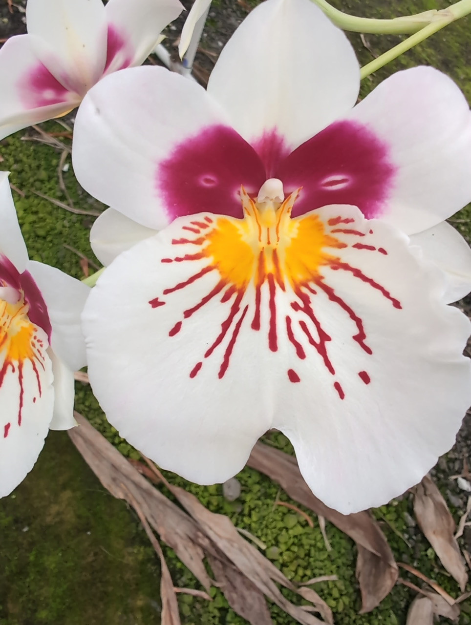 b3f1ffc0-960a-4dd9-befc-