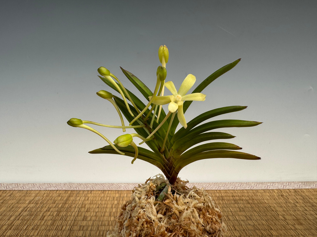 6f60ba1c-46bc-496a-be0f-faf7e6fb3e24