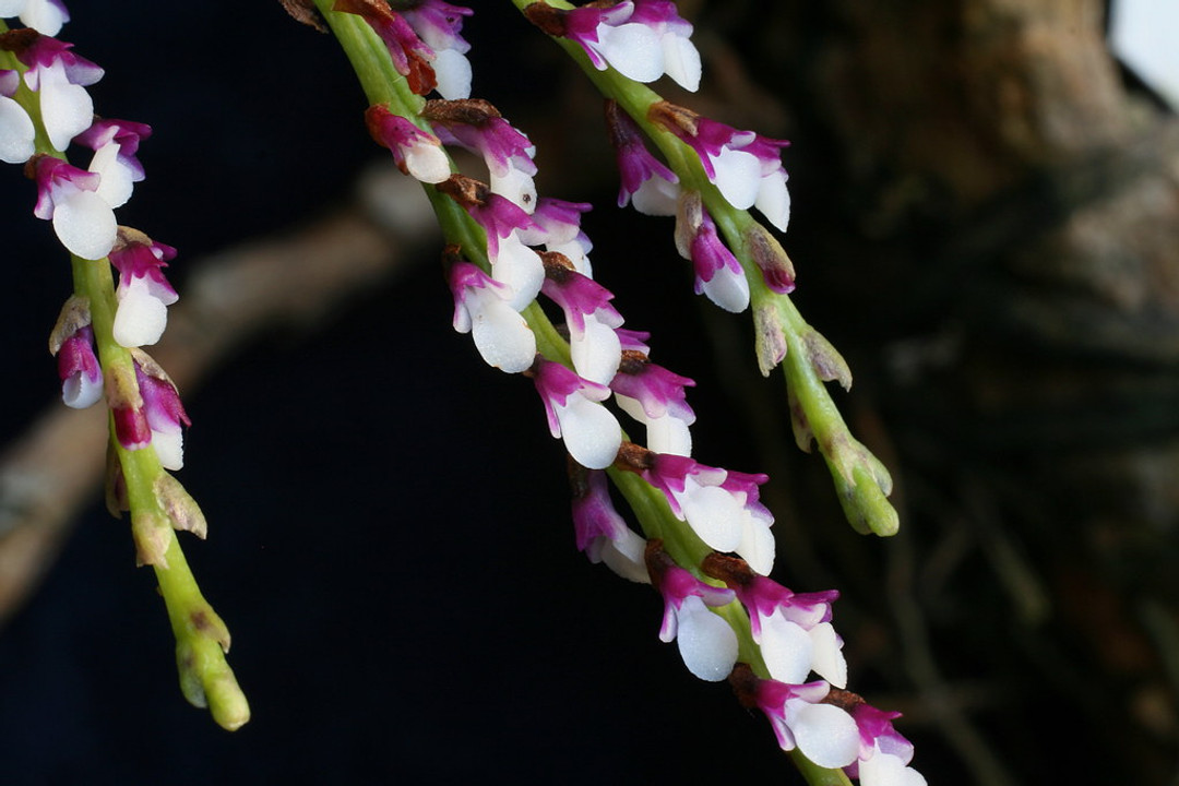 19a0fcbc-733b-4075-ac2d-d021c7b6d9aa