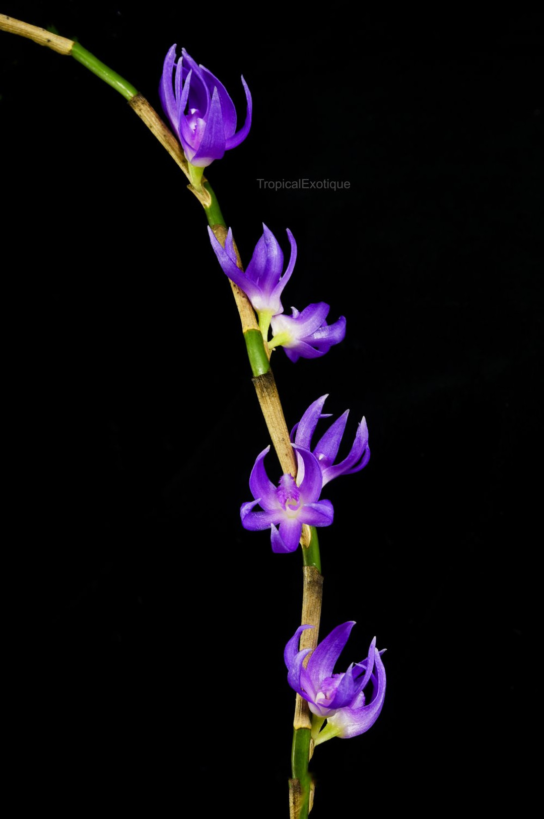 45ce7100-ea9e-46a8-ad90-69eae7fa623d