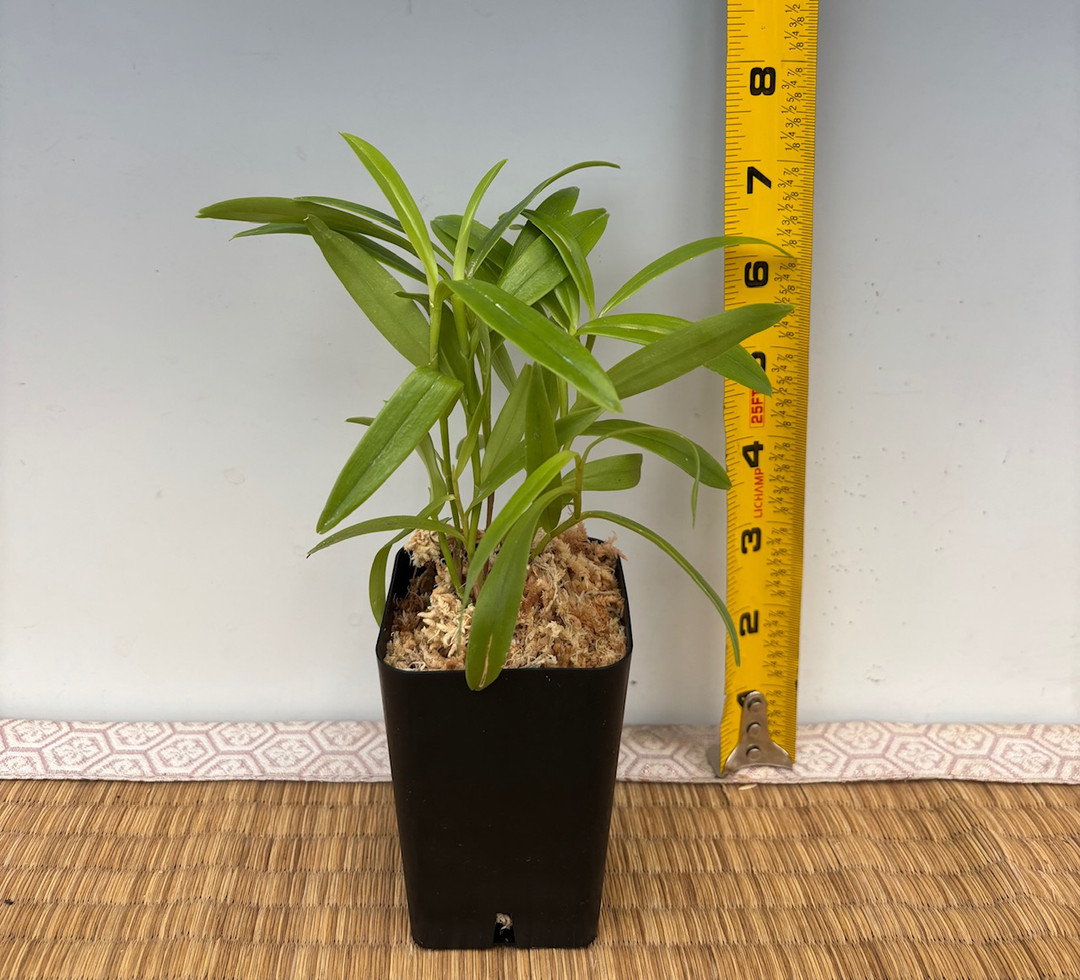 4bff3e50-0d4a-4353-bd16-0d85df9a91b6