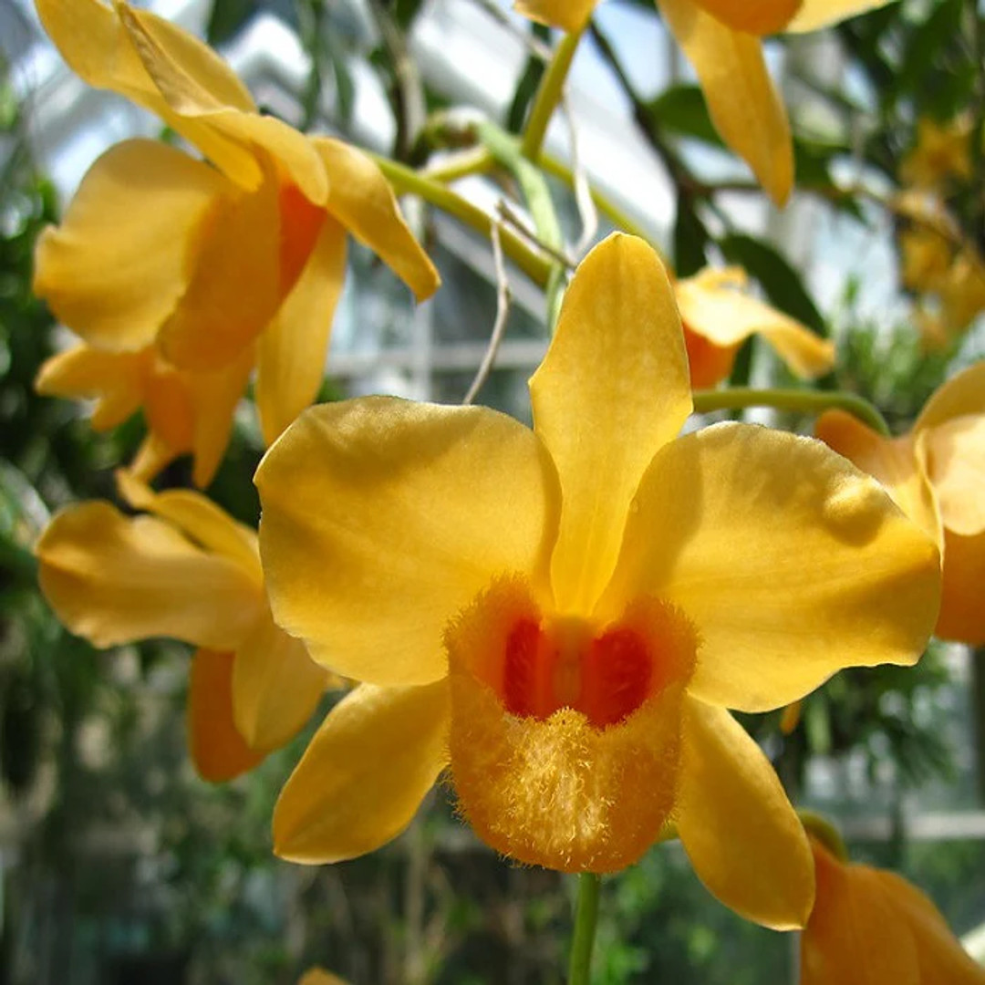 567c0aec-f934-4c7e-91ce-a647df281182