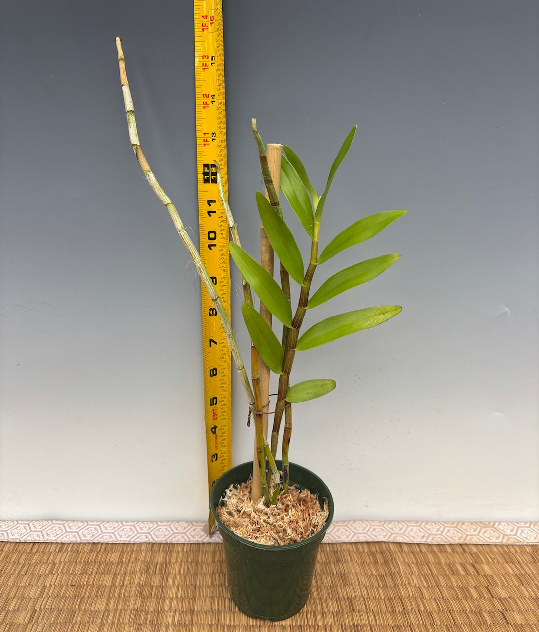 22e351fa-dc11-4144-a5f8-012f0c058829