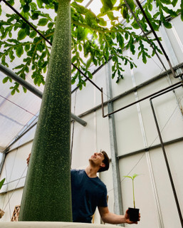 10 Orchid-like Plants You Didn't Know You Needed