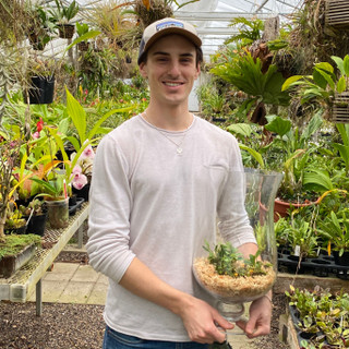 Exploring “Cool” Terrarium Plants