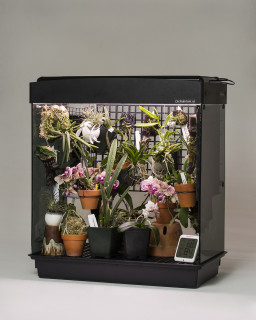 Learn about Orchidariums!
