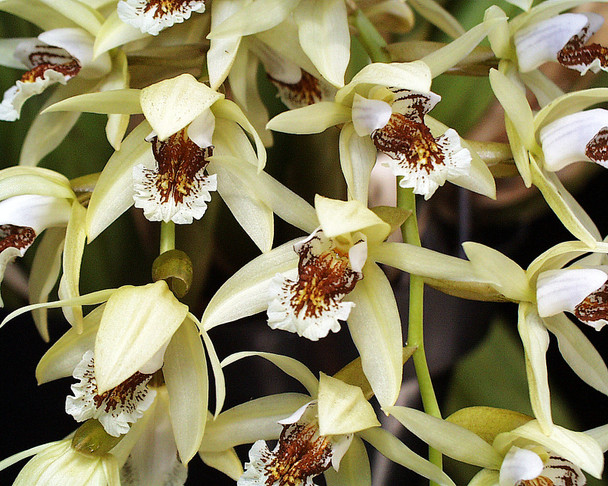 681878a1-95c5-41d9-86c1-0b4753aa3c75