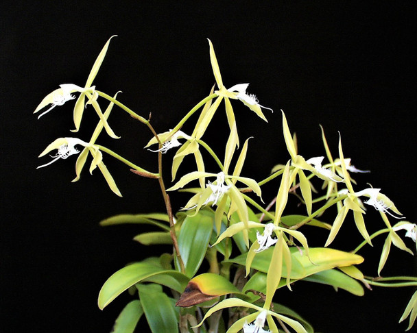 f4717724-45d6-4f7f-8b2d-a7c1b6410933