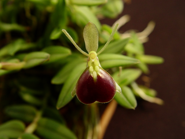 ec345b39-1a08-4039-ac5f-203f35d952c1