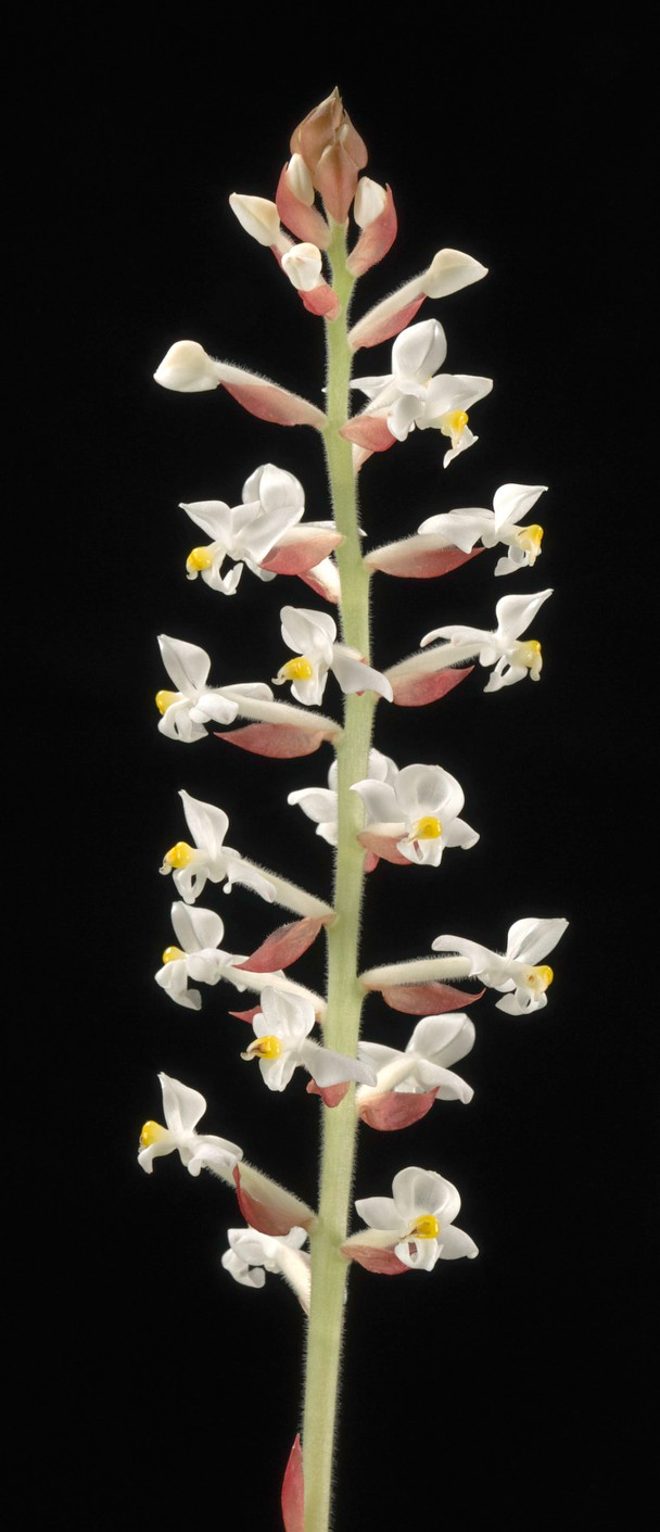 449fbbb0-7717-4f99-ab96-ff4d429babef