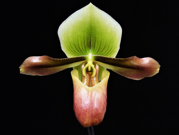 cdae6fc7-da84-4b53-a6ac-fd09d256e12a