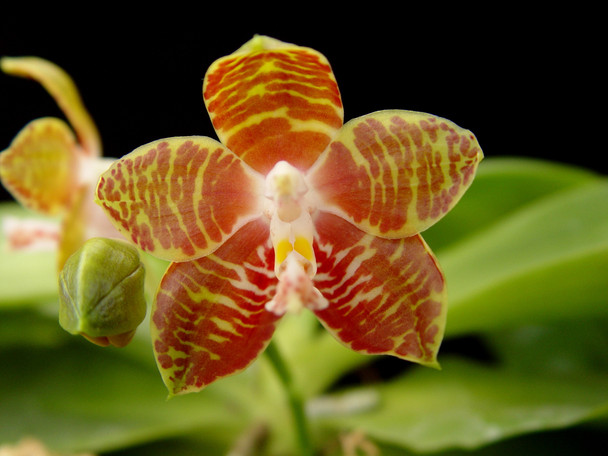 34b367f5-d375-4371-8014-b561f4c17ade