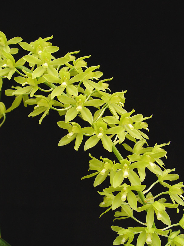 ad8d0d79-9272-4a08-97dd-f50055f8bca8