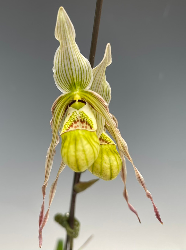 3f9f2921-5938-4e53-b670-04d770a0642e