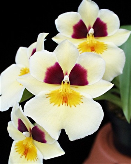 7f5d9bcd-6fe4-4594-a2ab-7d3205923307