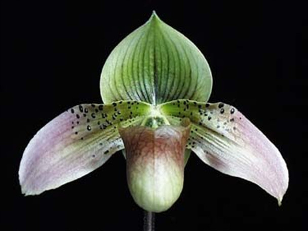 ff77ba63-892a-42d7-a03e-cbcbfceb7997