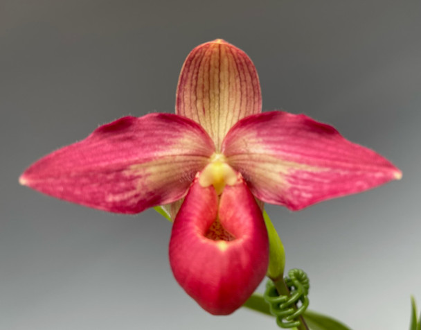 0519cf2f-722a-4dbd-998f-2a9292f5213b