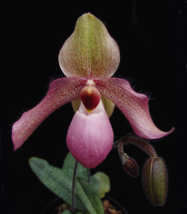 7fb9fe85-694d-4b31-bf5b-d960cafe4475