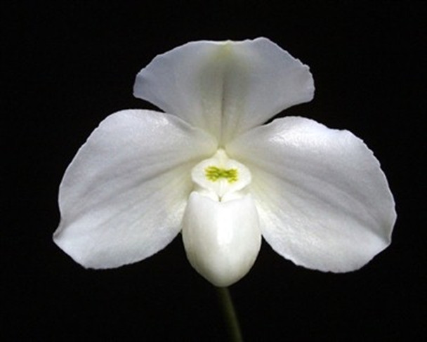 afd9c9e6-a143-41dd-9fc5-ed13587597e2