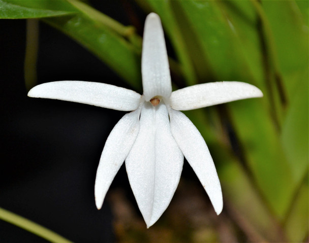 2c4f19de-ac94-4446-ab8a-399725cbe3fe