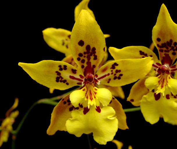 43543c28-3423-4130-9406-5f5b1befe3b5