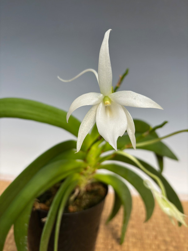 79275ec6-0651-4b30-b12f-ac7475e544ed