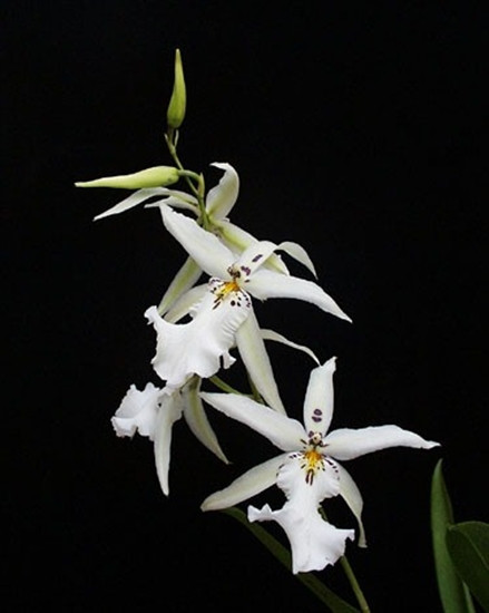 eada9e07-4e08-490a-8904-8c4f11cef52d