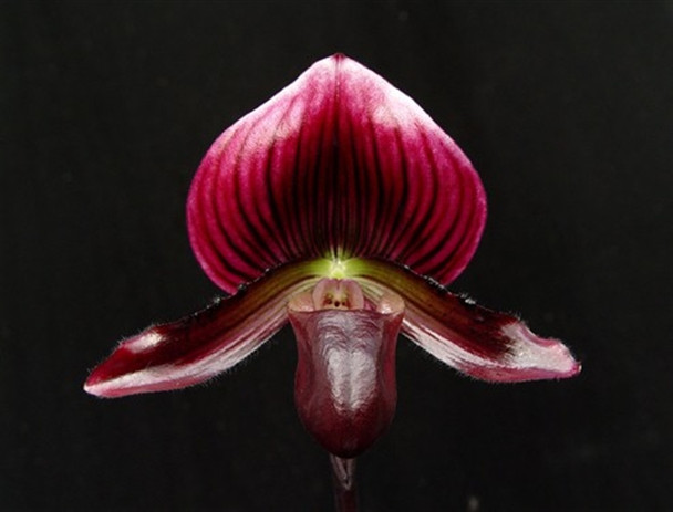 0c371418-d860-45d9-b6d4-4a29d298e361