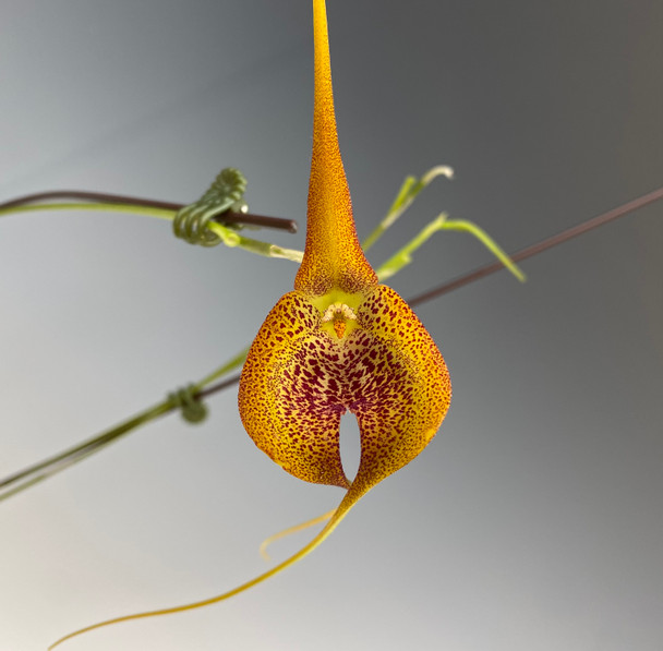 9fe322ac-1dc9-4428-84b3-e6fb340dd906