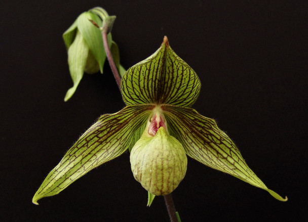 baf4fea9-4544-4b1f-8940-97c56559798c