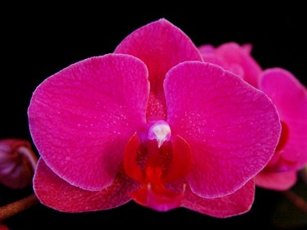 7b2b6d88-0e9e-4b19-892a-f3df0c897c42