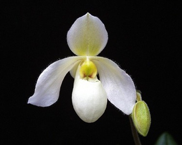 90af2ed9-de52-4767-af87-c896f758245f