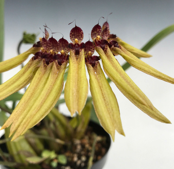 4d1dc316-bbde-4a42-b98d-5ef263bbafe1