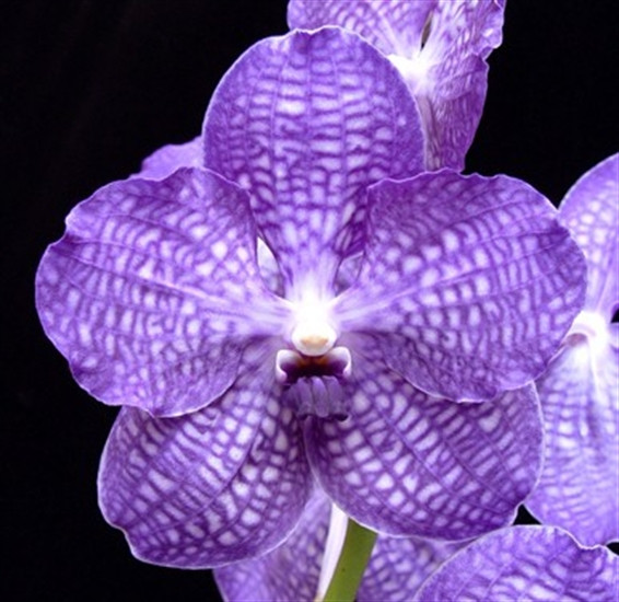 9dfcdf06-b857-4032-b6e1-e80ae31b3102