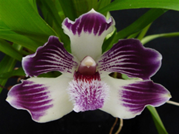 448e66bc-df8b-40c1-9be0-e10d226545c7