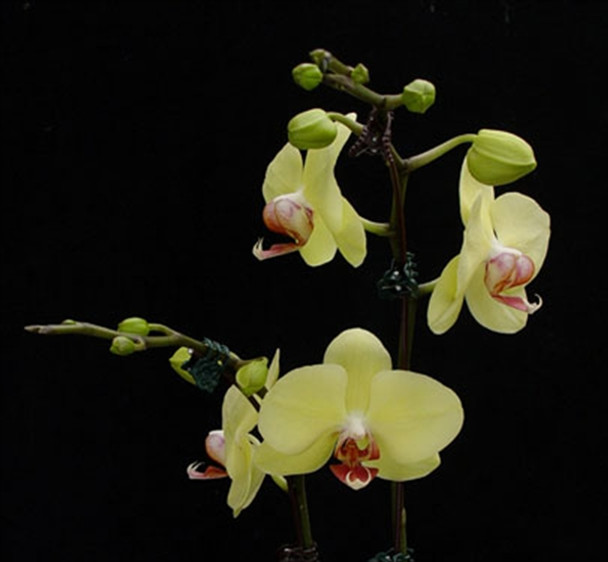 f969701d-d73b-403c-bd59-0beb70c4ac4a