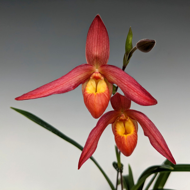 0b8bc017-16df-496c-af1b-5e2ab255fa33