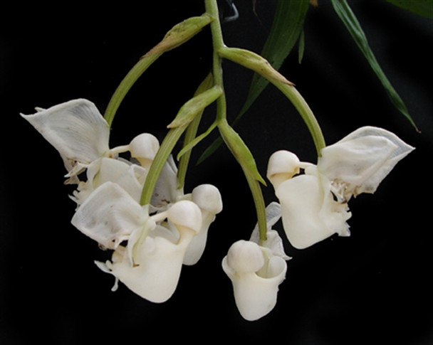 06161b6d-90ef-41c8-97d7-db5677ecccff