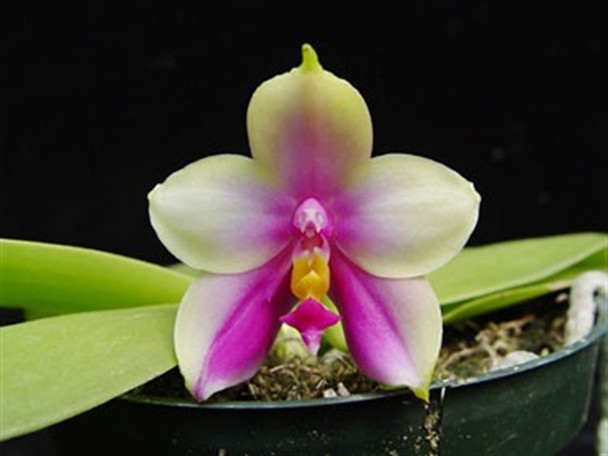 6bcc6ecc-9ab1-470b-ac3e-a7b8c70b1e26