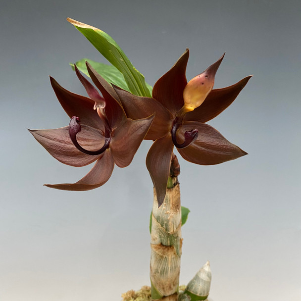 f27ed98c-c277-4eaa-8108-deb66d273a23