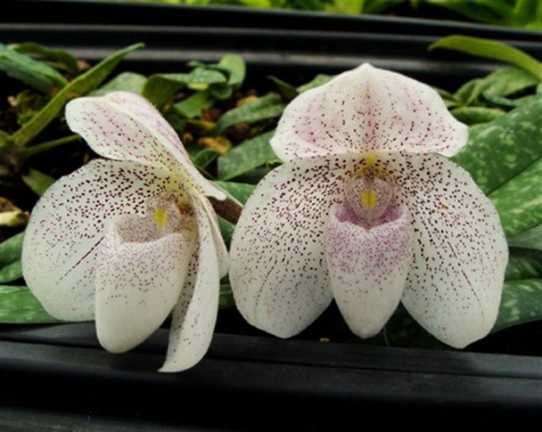 8904266f-1a66-4639-aa9d-4cbb684de33a