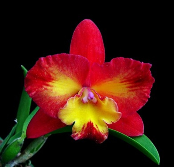 de6fe54e-4ab3-4d8c-9239-b68d5c9e821c