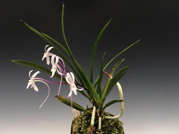 854beffc-94fc-469d-a007-7f805476597f