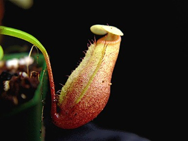 3c6b06e5-7bc8-450a-a5b5-e53cd1bcf02c